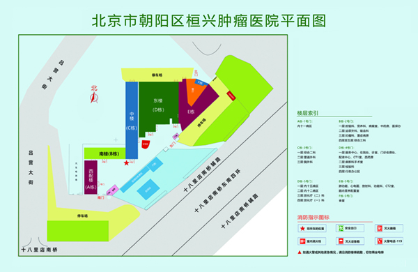 热逼视频软件北京市朝阳区桓兴肿瘤医院平面图